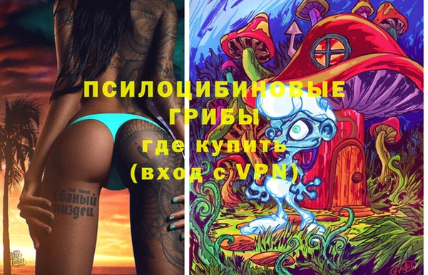 тгк Верея