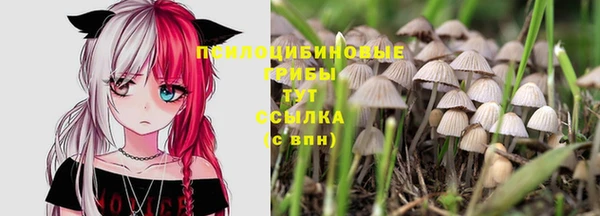 МДПВ Верхний Тагил